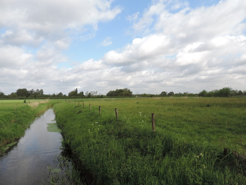 Foto's website / natuurwandeling1