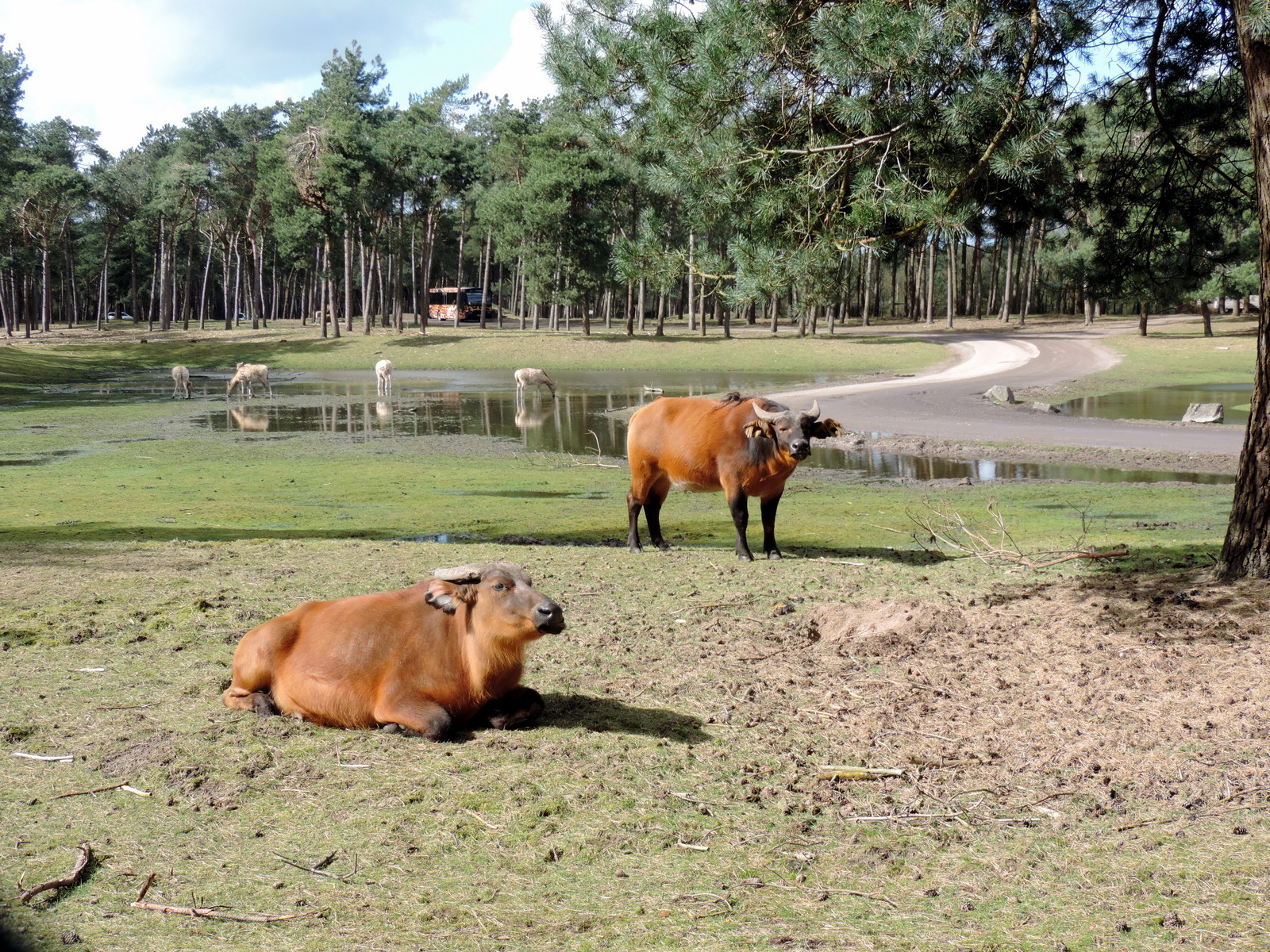 Foto's website / natuurwandeling