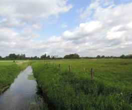 Natuurwandelingen